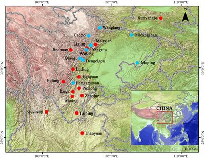 Geographical variation of organ size in Andrew’s toad (Bufo andrewsi)